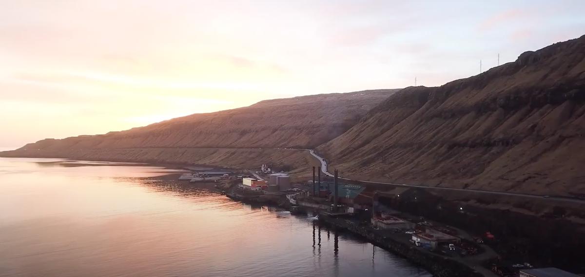 354 dagar uttan skaðar