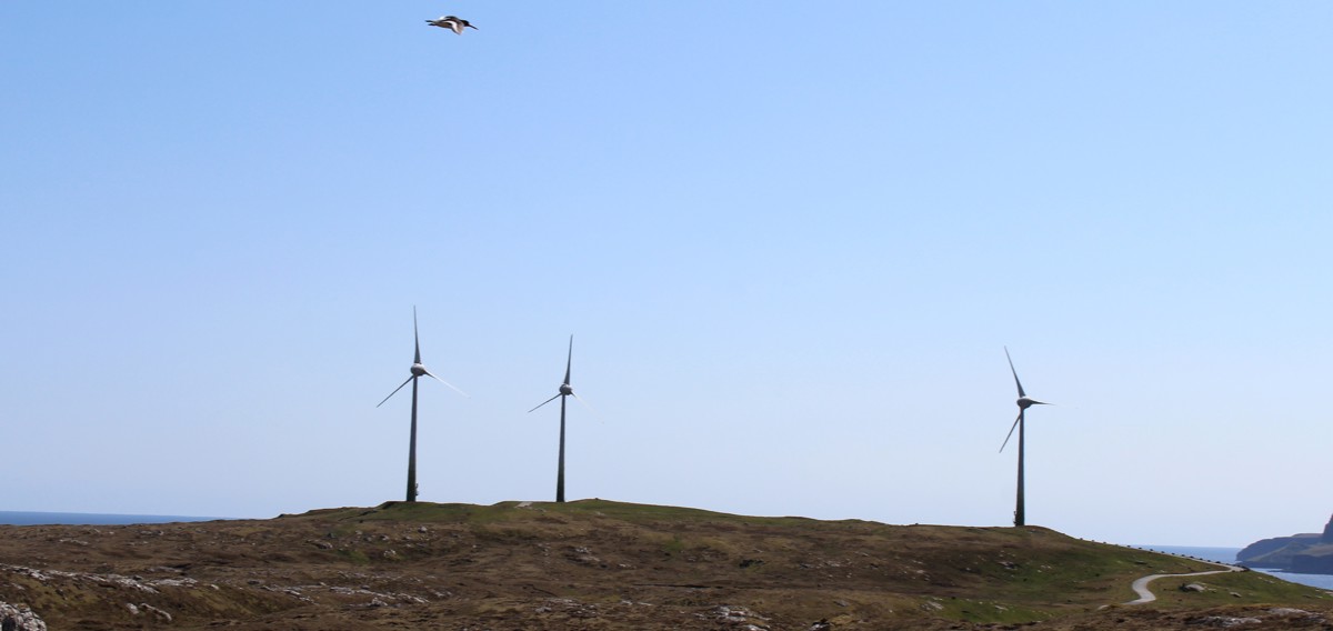 Annual Accounts 2024