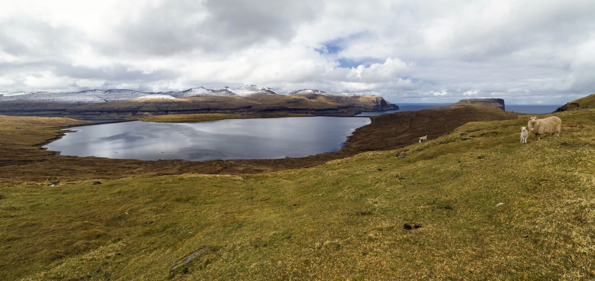 58% burðardygg elframleiðsla í fyrsta ársfjórðingi