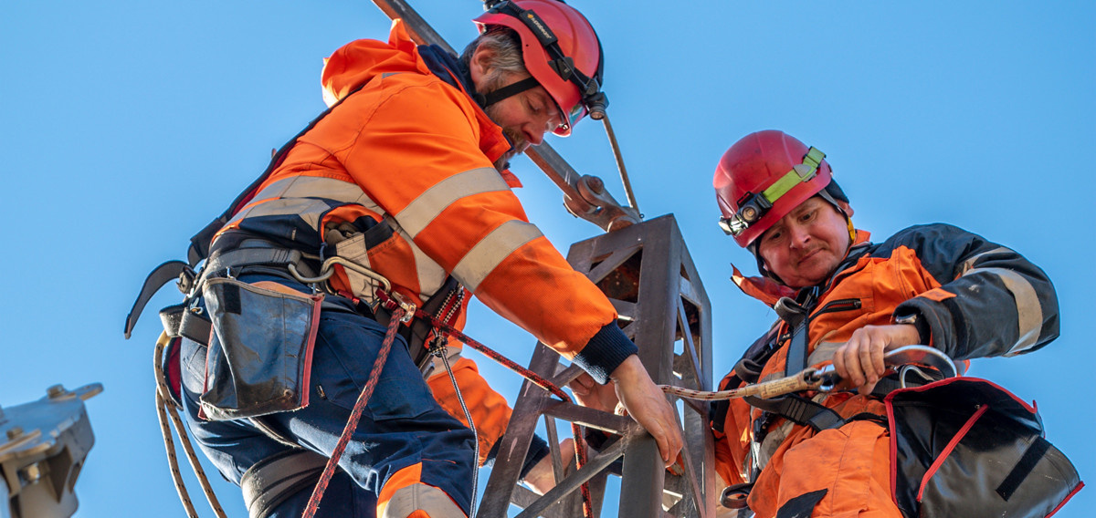 Heilsa, Trygd og Umhvørvi