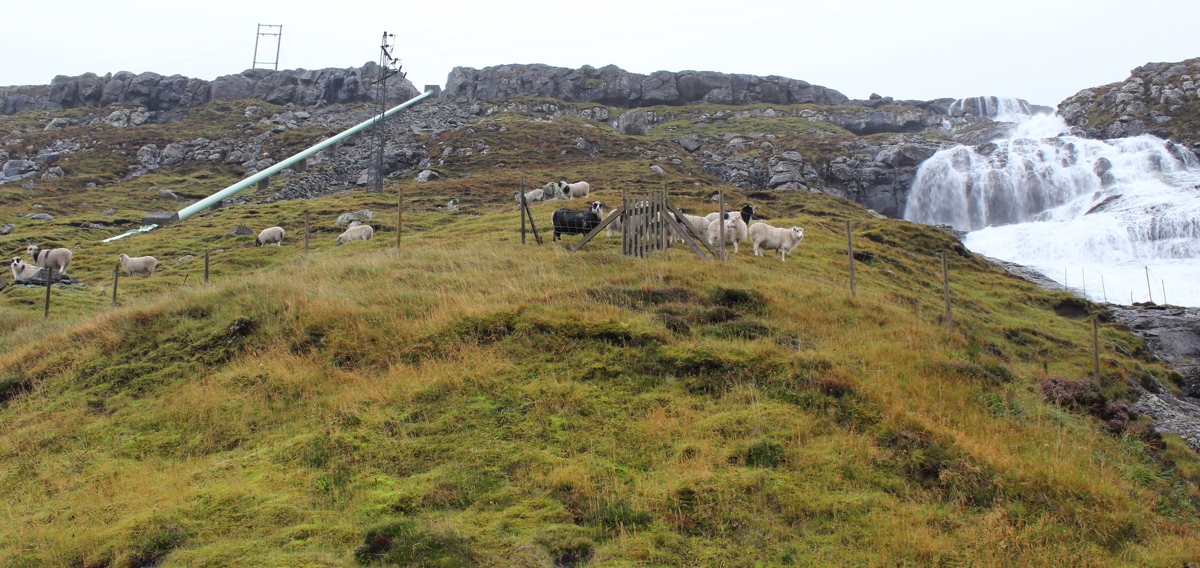 Áarføri og yvirflóð í vatngoymslum